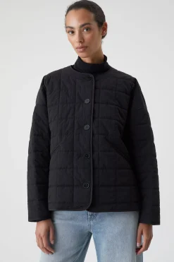 Liner Jacket