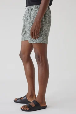 Printed Swim Shorts