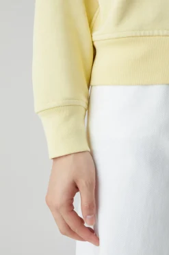 Shirt Ras Du Cou