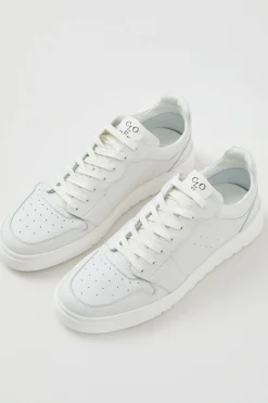 Sneakers Basses Nappa